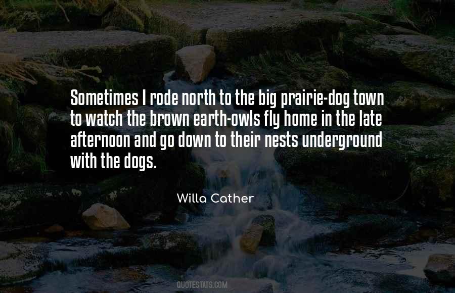 Dogs Home Quotes #350241