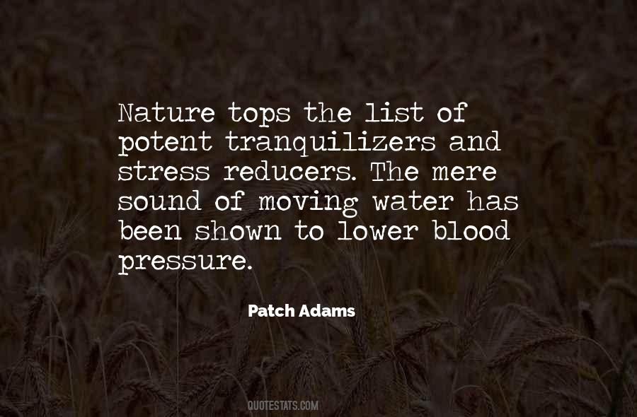 The Sound Of Nature Quotes #380726