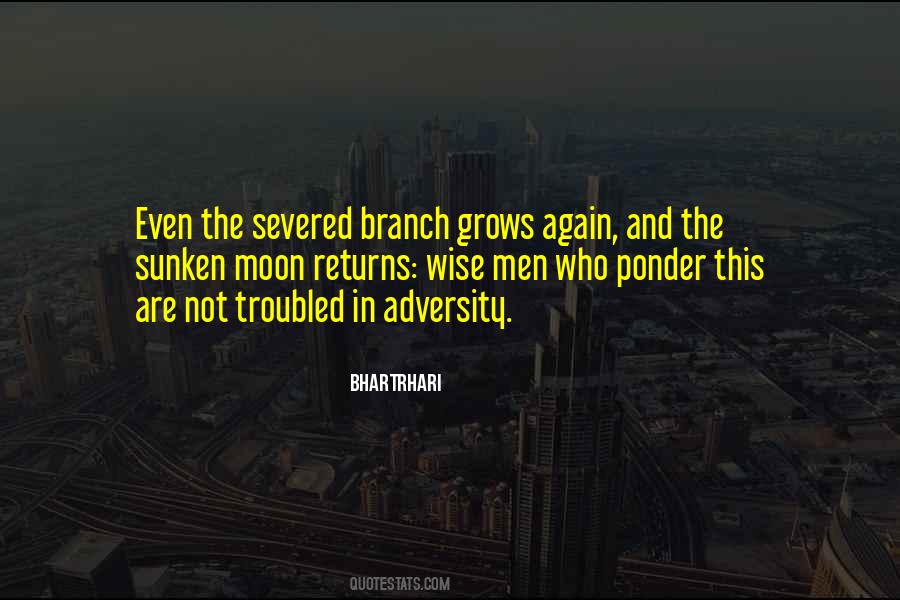 In Adversity Quotes #1019198