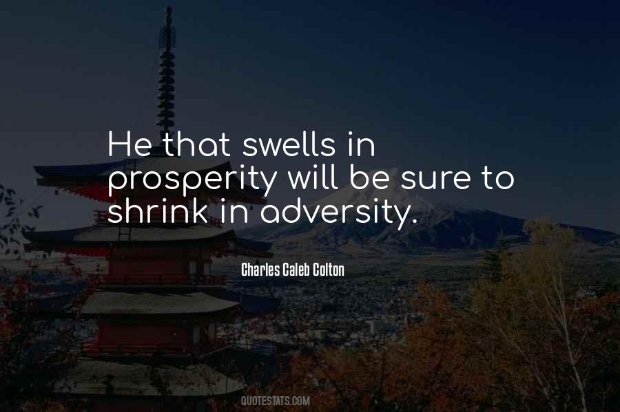 In Adversity Quotes #453721