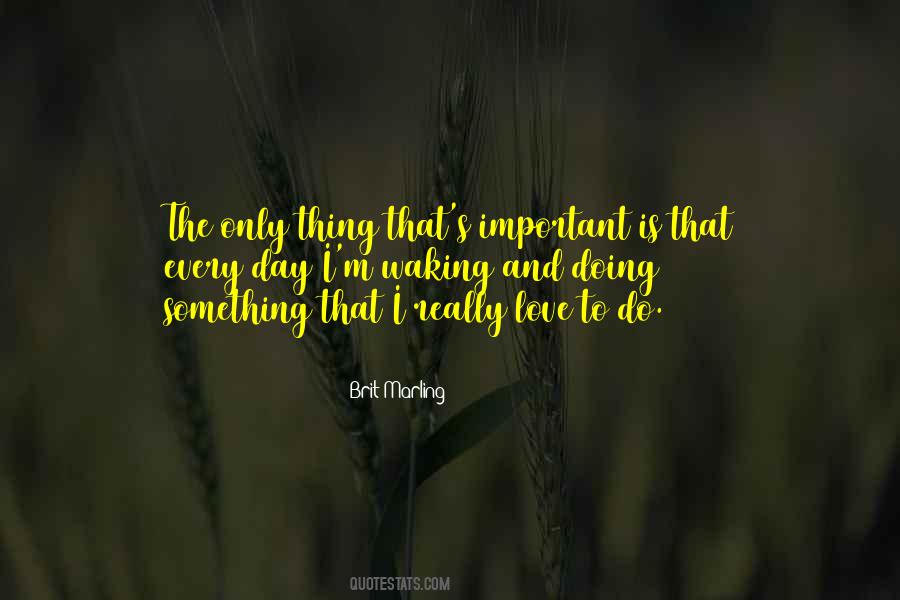 Do Something Important Quotes #106643