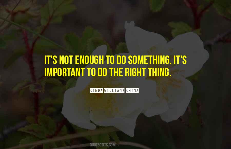 Do Something Important Quotes #582865