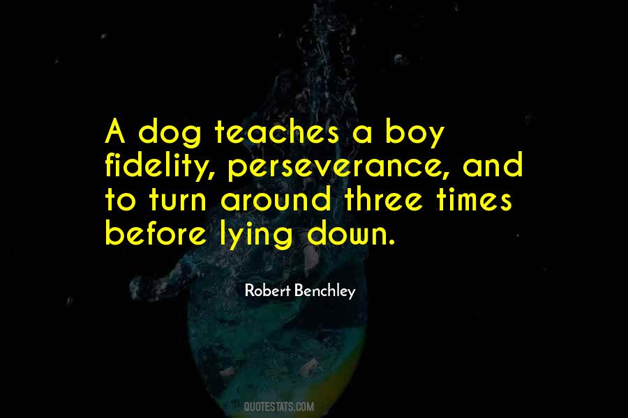 Fidelity Of A Dog Quotes #1656495