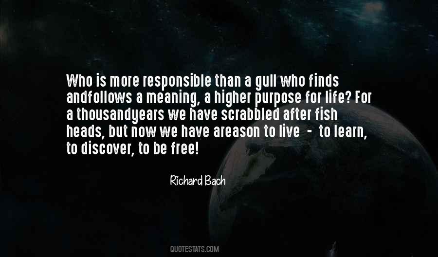 Free To Learn Quotes #15061