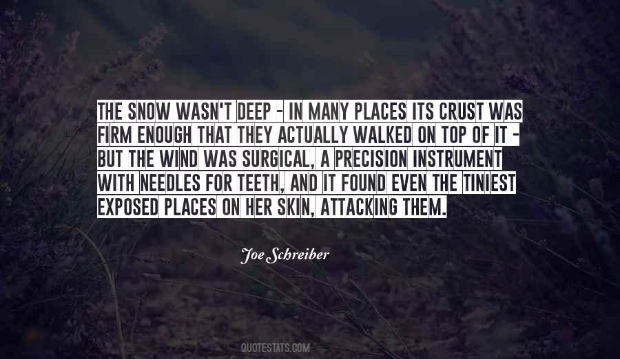 With The Snow Quotes #236171