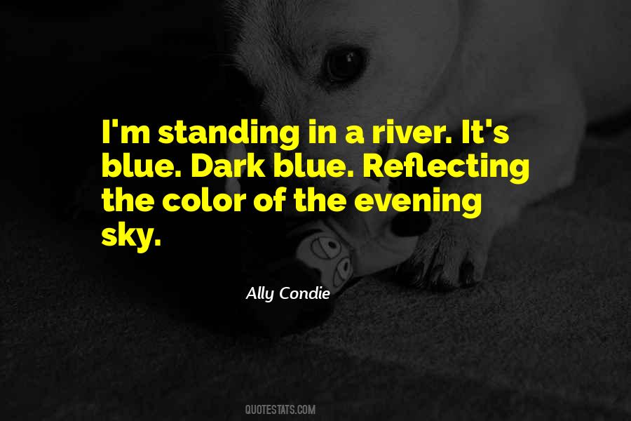 Dark Color Quotes #406597