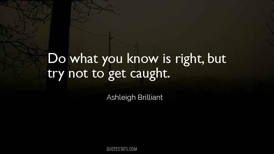 Do What You Know Quotes #686539