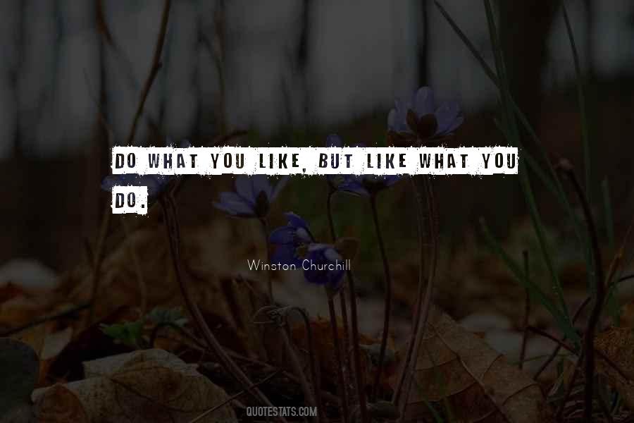 Do What You Like Quotes #712892