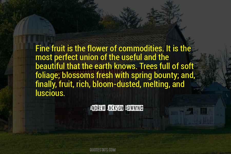Soft Flower Quotes #1787765