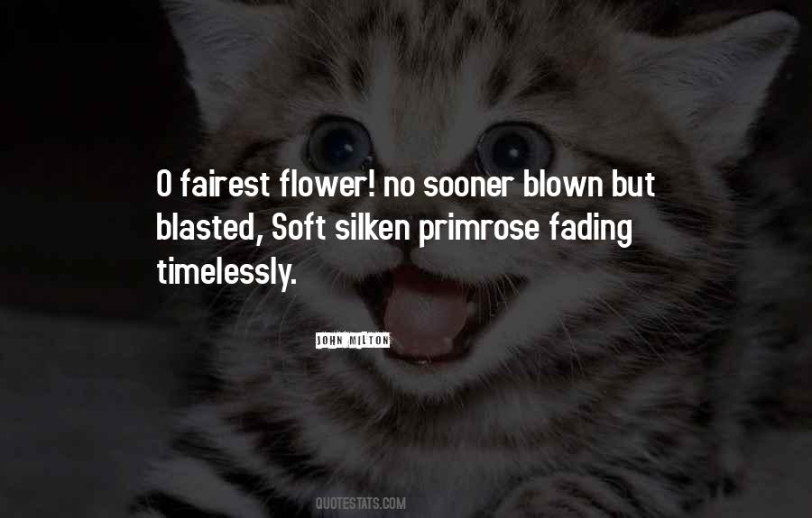 Soft Flower Quotes #775006