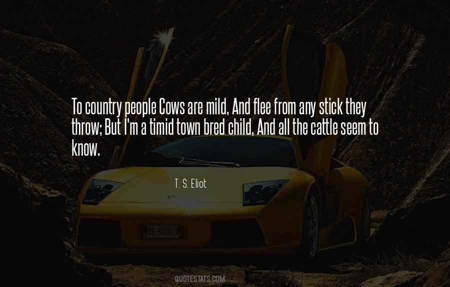 Town And Country Quotes #1399182