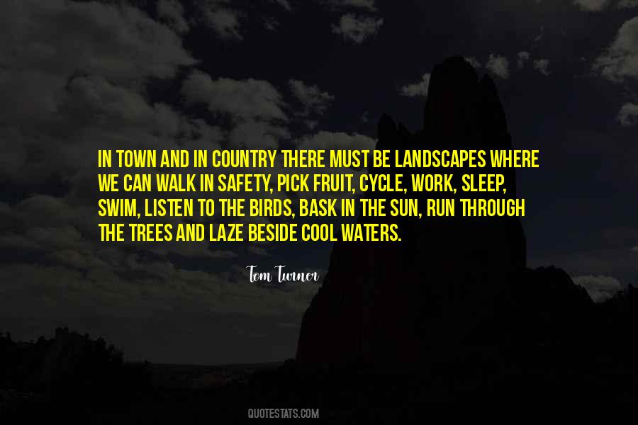 Town And Country Quotes #1616575