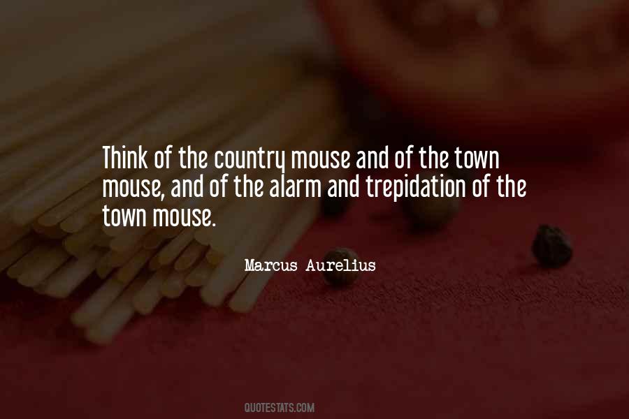 Town And Country Quotes #286678