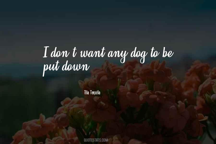 Having To Put Your Dog Down Quotes #1583253