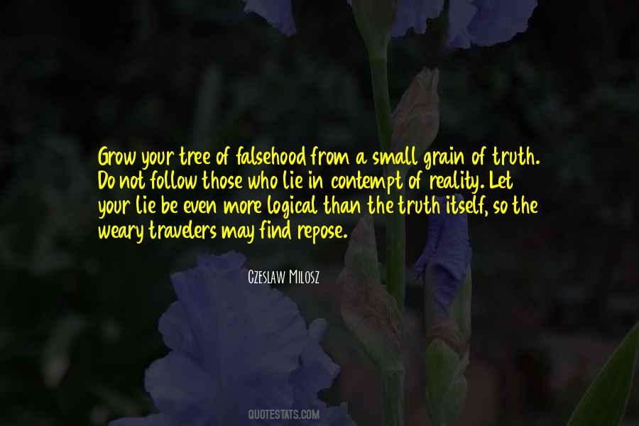 A Small Lie Quotes #34751