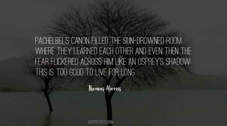 Good Shadow Quotes #116167