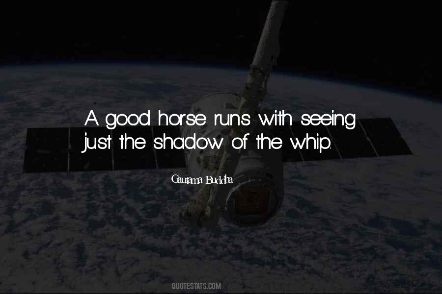 Good Shadow Quotes #646903