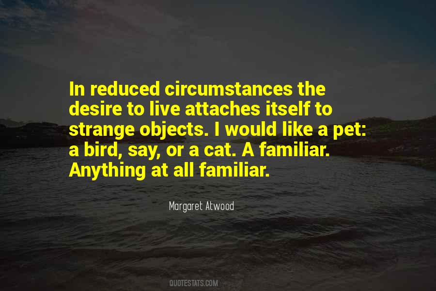 My Pet Bird Quotes #1595403