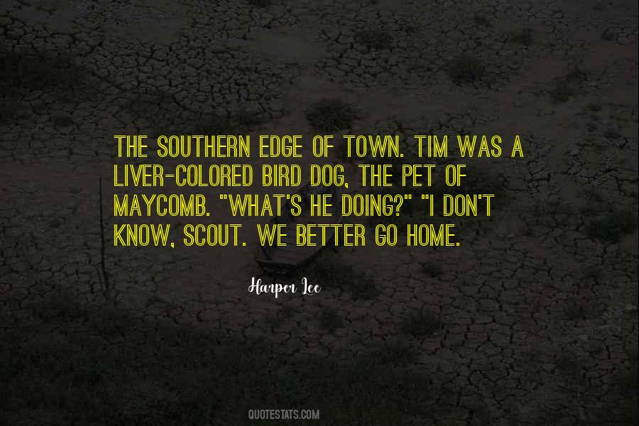 My Pet Bird Quotes #632281