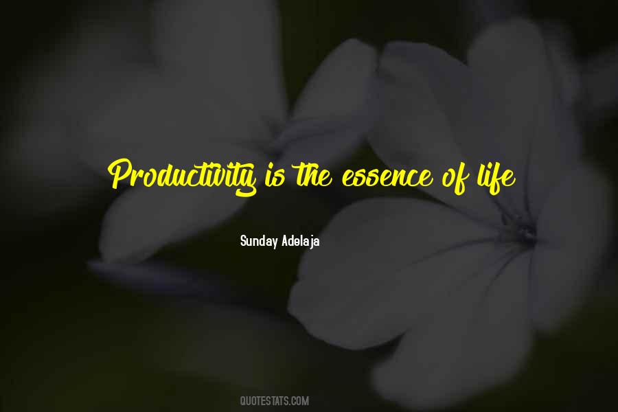 Work Productivity Quotes #1064497