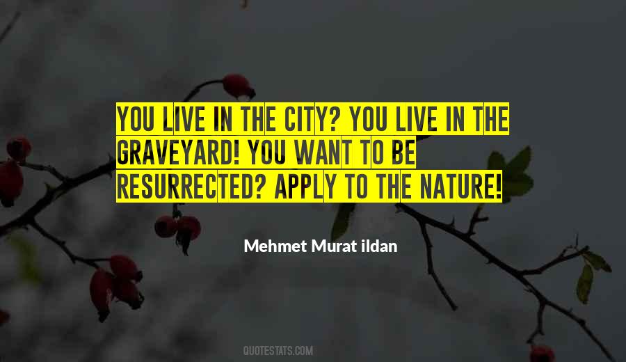 Nature City Quotes #1746597