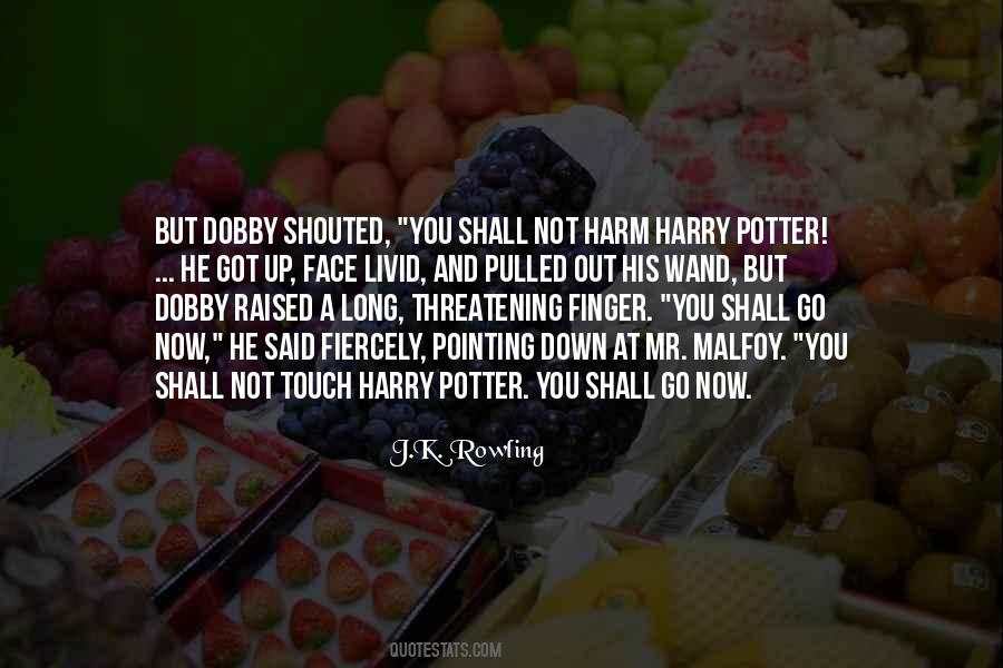 Dobby Harry Potter Quotes #335842