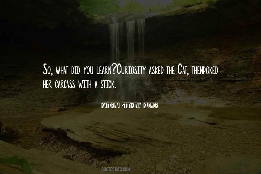 What Did You Learn Quotes #252232