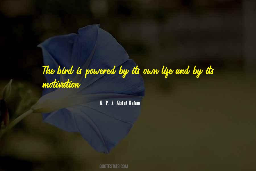Bird Inspirational Quotes #1651638