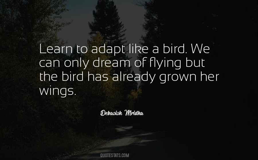 Bird Inspirational Quotes #591065