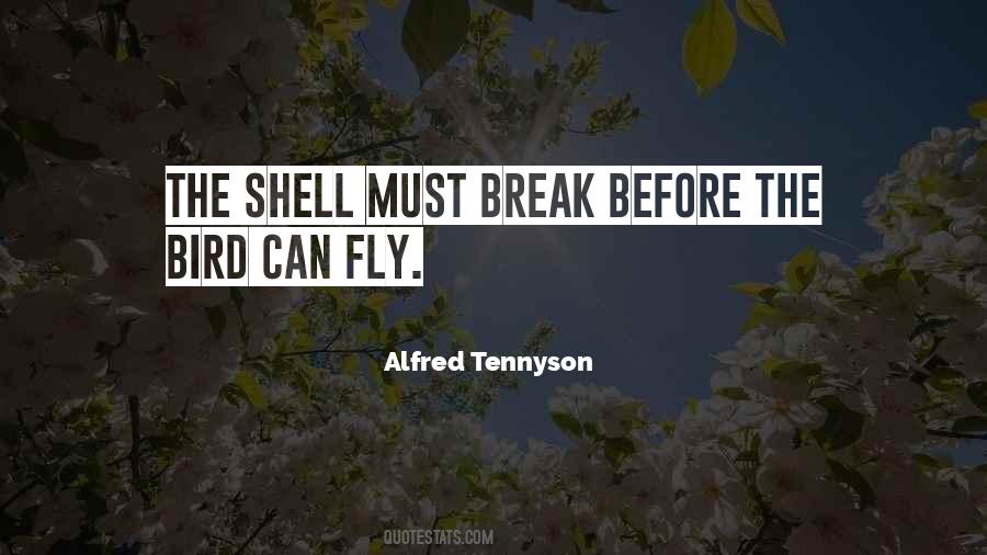 Bird Inspirational Quotes #677429