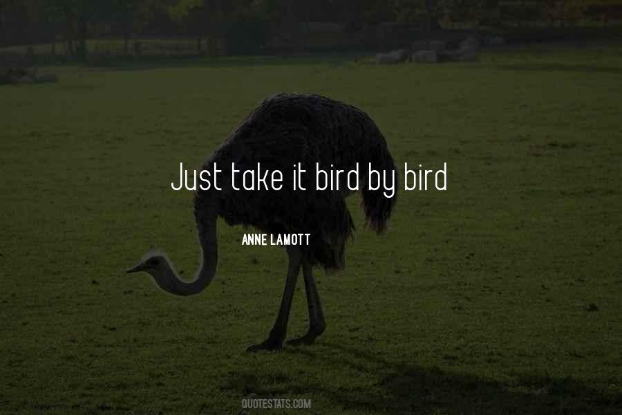 Bird Inspirational Quotes #960935