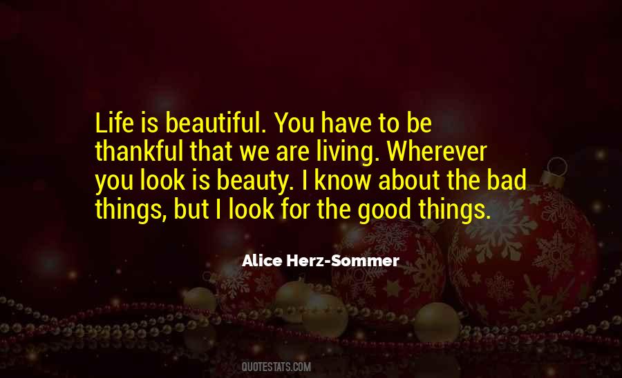 Things Are Beautiful Quotes #282855