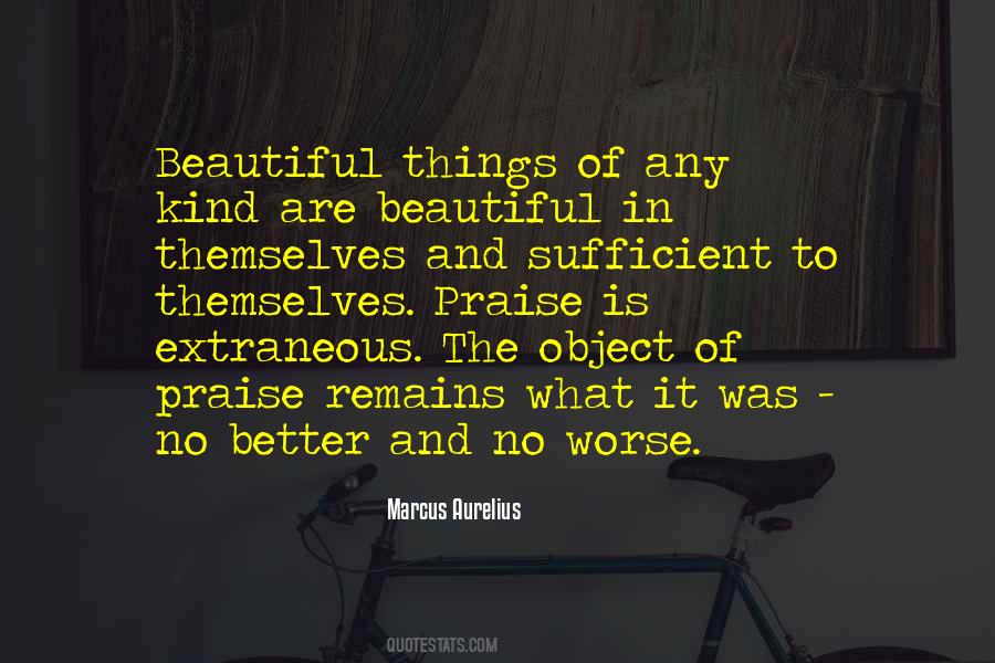 Things Are Beautiful Quotes #65763
