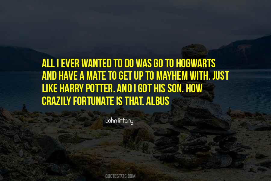 Harry Potter All Quotes #89916