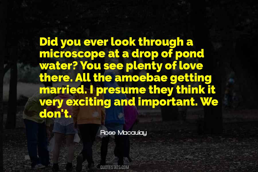 Water Pond Quotes #1002178