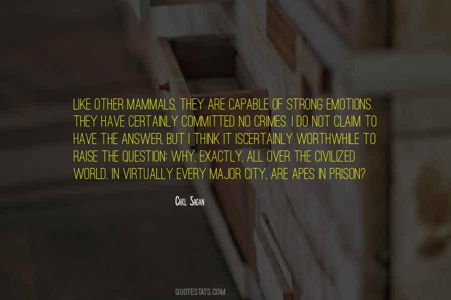 Not To Question Why Quotes #621202