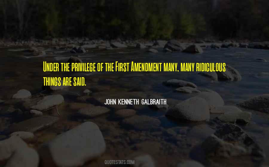 Being A Foreigner Quotes #1426779