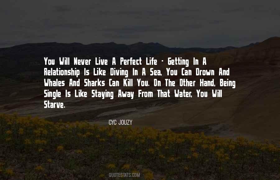 Life Is Never Perfect Quotes #1433716