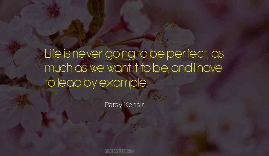 Life Is Never Perfect Quotes #1510689