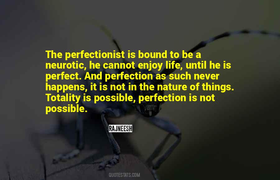 Life Is Never Perfect Quotes #1545843