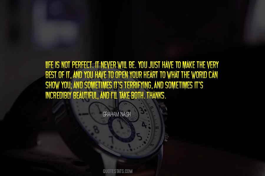 Life Is Never Perfect Quotes #1737637
