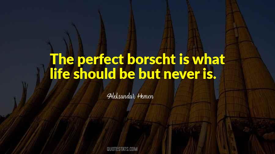 Life Is Never Perfect Quotes #317025