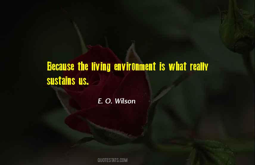 Is Environment Quotes #100573