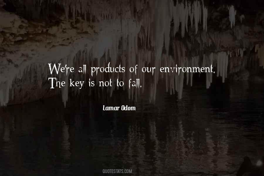 Is Environment Quotes #4320