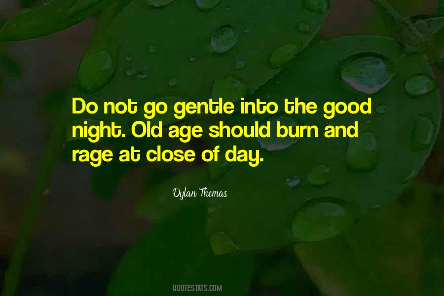 Go Gentle Quotes #1647173