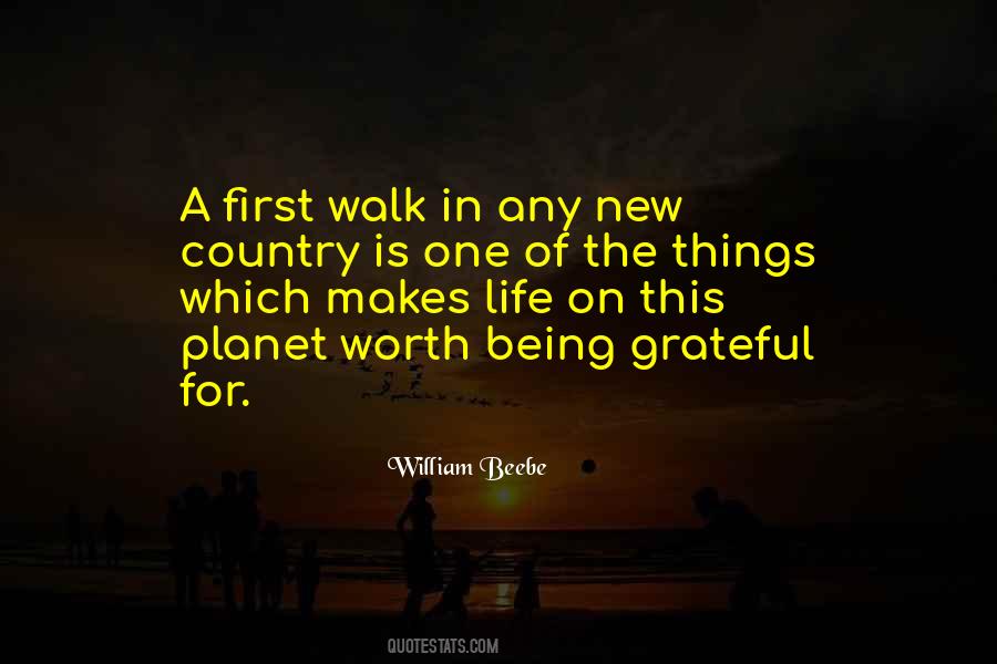 Walk Thru Life Quotes #28965