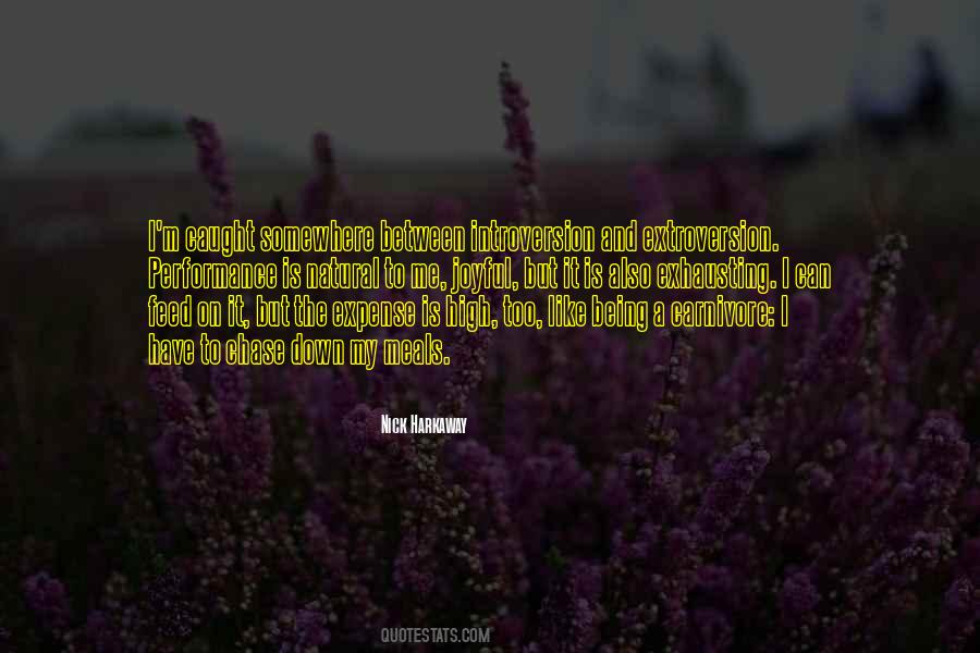 Quotes About Introversion And Extroversion #1201366