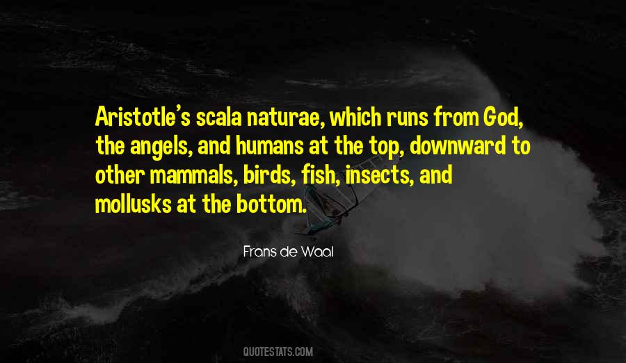 From Top To Bottom Quotes #31351