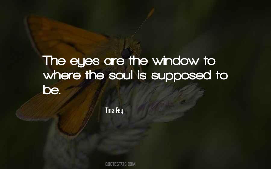The Eyes Are The Window To The Soul Quotes #483007