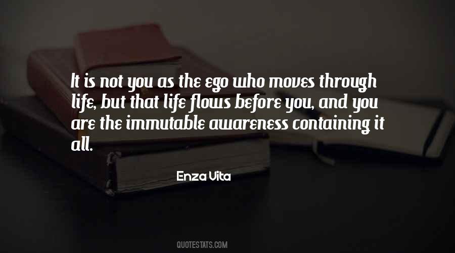 Spiritual Ego Quotes #1677865